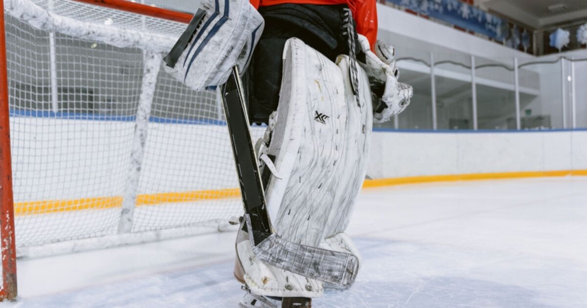 Goalie Leg Pads