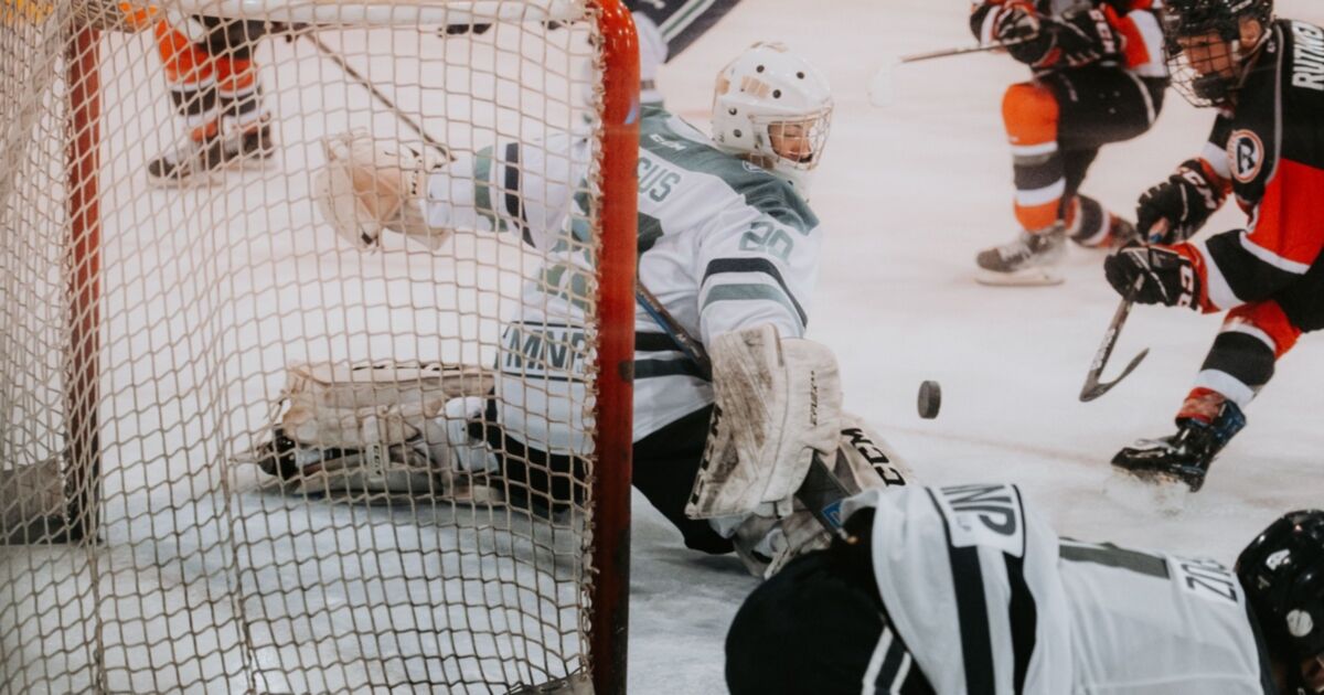 Hockey Game Action