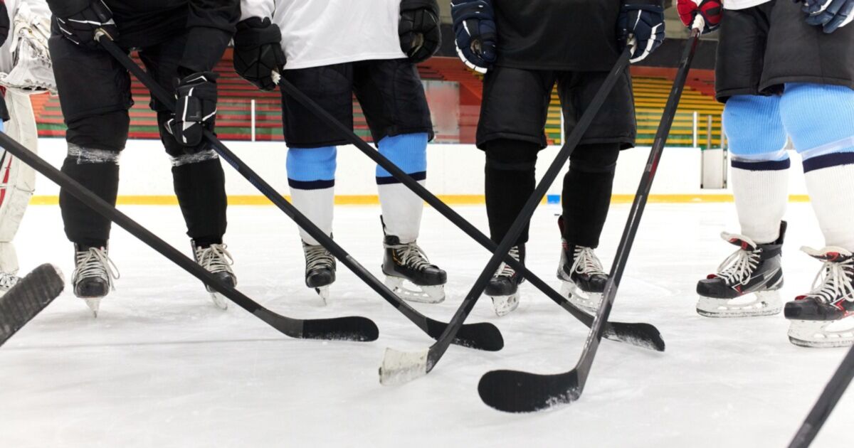 Hockey Player Sticks
