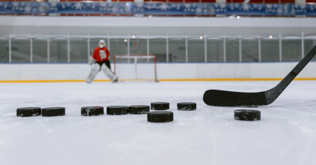 Hockey Pucks
