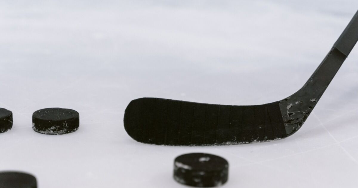 Hockey Stick & Puck