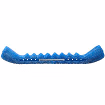 Blue Chameleonz